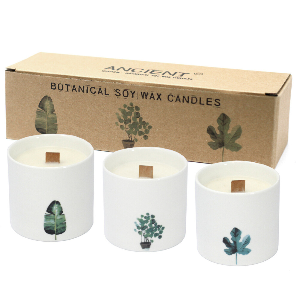 Iprema Giftware Botanical Candles - Marsh Viola Large