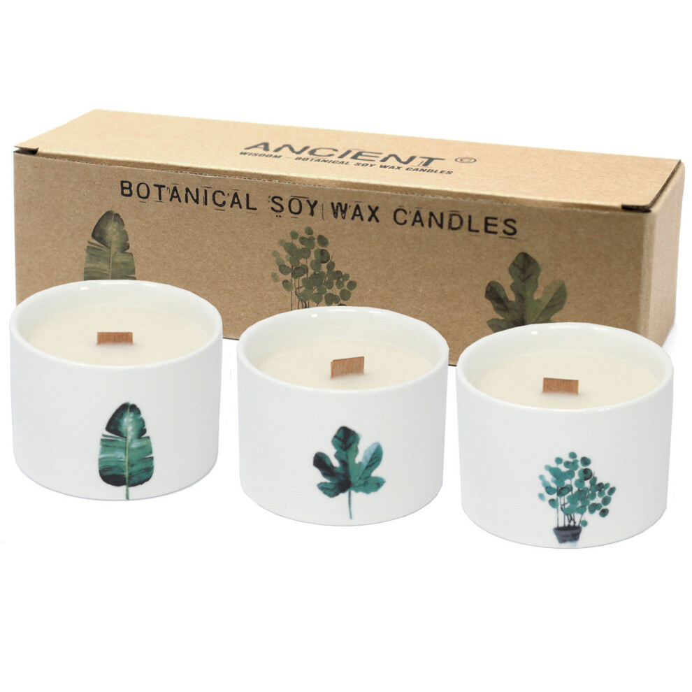 Iprema Giftware Med Botanical Candles - Lemon Honeysuckle