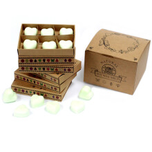 IPREMA Giftware Box of 6 Wax Melts - Apple Spice