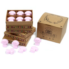 IPREMA Giftware Box of 6 Wax Melts - Ylang Ylang