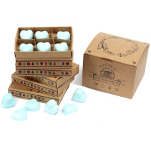 IPREMA Giftware Box of 6 Wax Melts - Nagchampa