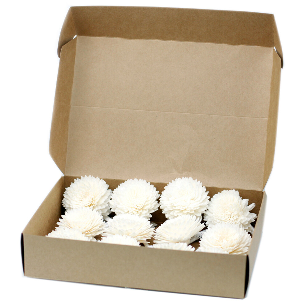 IPREMA Giftware Natural Diffuser Flowers - Lrg Carnation on String