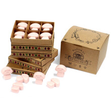 IPREMA Giftware Box of 6 Wax Melts - Old Ginger