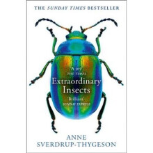 Extraordinary Insects