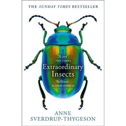 Extraordinary Insects