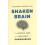Shaken Brain 1