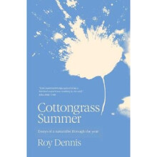 Cottongrass Summer