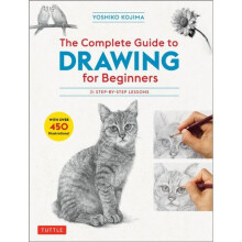 The Complete Guide to Drawing for Beginners