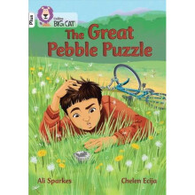 The Great Pebble Puzzle