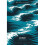 Ocean 1