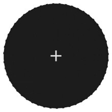vidaXL Jumping Mat Fabric Black for 10Feet/3.05m Round Trampoline Replacement