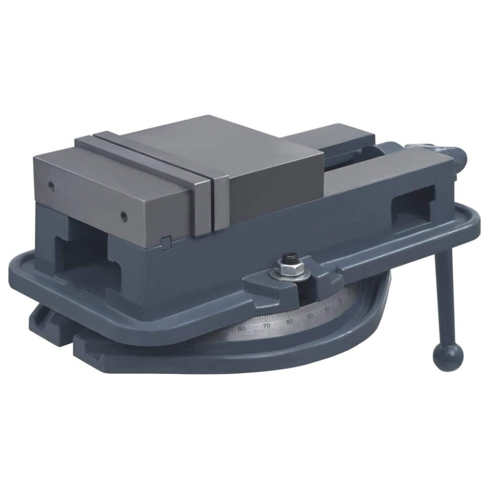 Vidaxl Turntable Vice Machine Cast Iron 160Mm Swivel Jaw Clamp Work Bench Vice 8719883803937