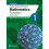 Pearson Edexcel GCSE (9-1) Mathematics Foundation Student Book 1 1