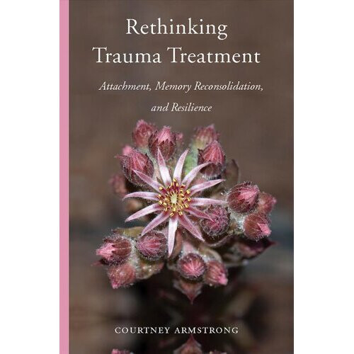 Rethinking Trauma Treatment