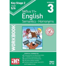 KS2 Semantics Year 5/6 Workbook 3 - Homonyms