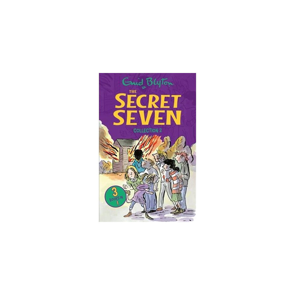 The Secret Seven Collection Size 2