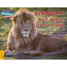 Scarface: The Real Lion King Gold Band