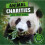 Animal Charities 1