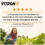 Vitron-C High Potency Iron Supplement with 125 mg Vitamin C, 60 Count 5
