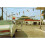 William Eggleston: Election Eve Hardcover 9