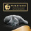 Sheba Gelée Sheba Délicatesse Saveur Poisson 80x85g 11