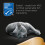 Sheba Gelée Sheba Délicatesse Saveur Poisson 80x85g 6