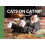 Cats on Catnip: 20 Postcards 1