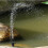 Mini Solar-Powered Water Fountain 4