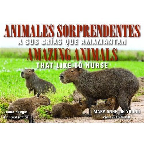 Animales Sorprendentes / Amazing Animals