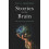 Stories and the Brain 1