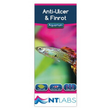 NT LABS Aquarium Anti-Ulcer & Finrot 100ml – Single-Dose Broad-Spectrum Treatment for All Fish (Treats 500L; Safe in Tropical & Coldwater)