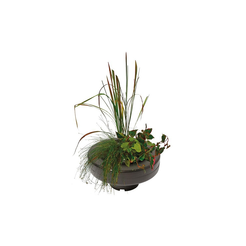 SuperFish Pond Floating Plant Basket - 30 cm