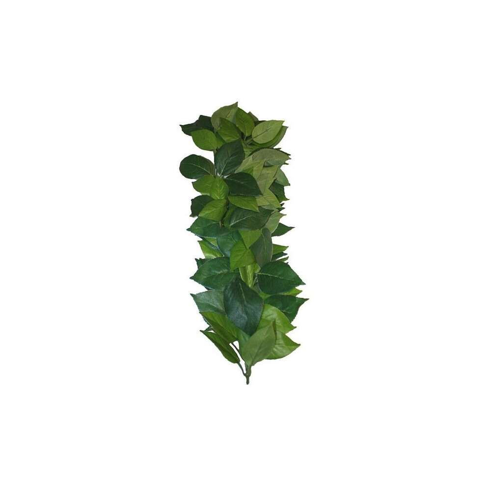 Komodo Ficus Hanging Vine - 35cm