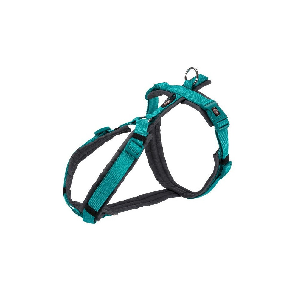 Trixie Premium Trekking Y Shaped Dog Harness - Ocean/Graphite, S-M