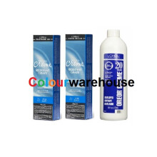 (8X (2x), Dev (Vol. 20) 16oz) L'Oreal Excellence Creme Resistant Grays 8X Medium Blonde Permanent Haircolor