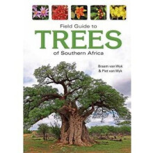 Field guide to trees of Southern Africa