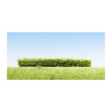 FALLER Light Green Hedges 100x10x10mm (3) HO Gauge Scenics 181398