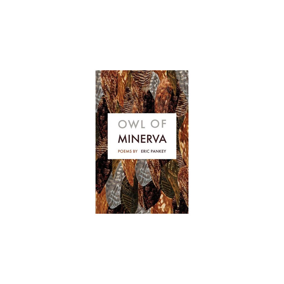Owl of Minerva
