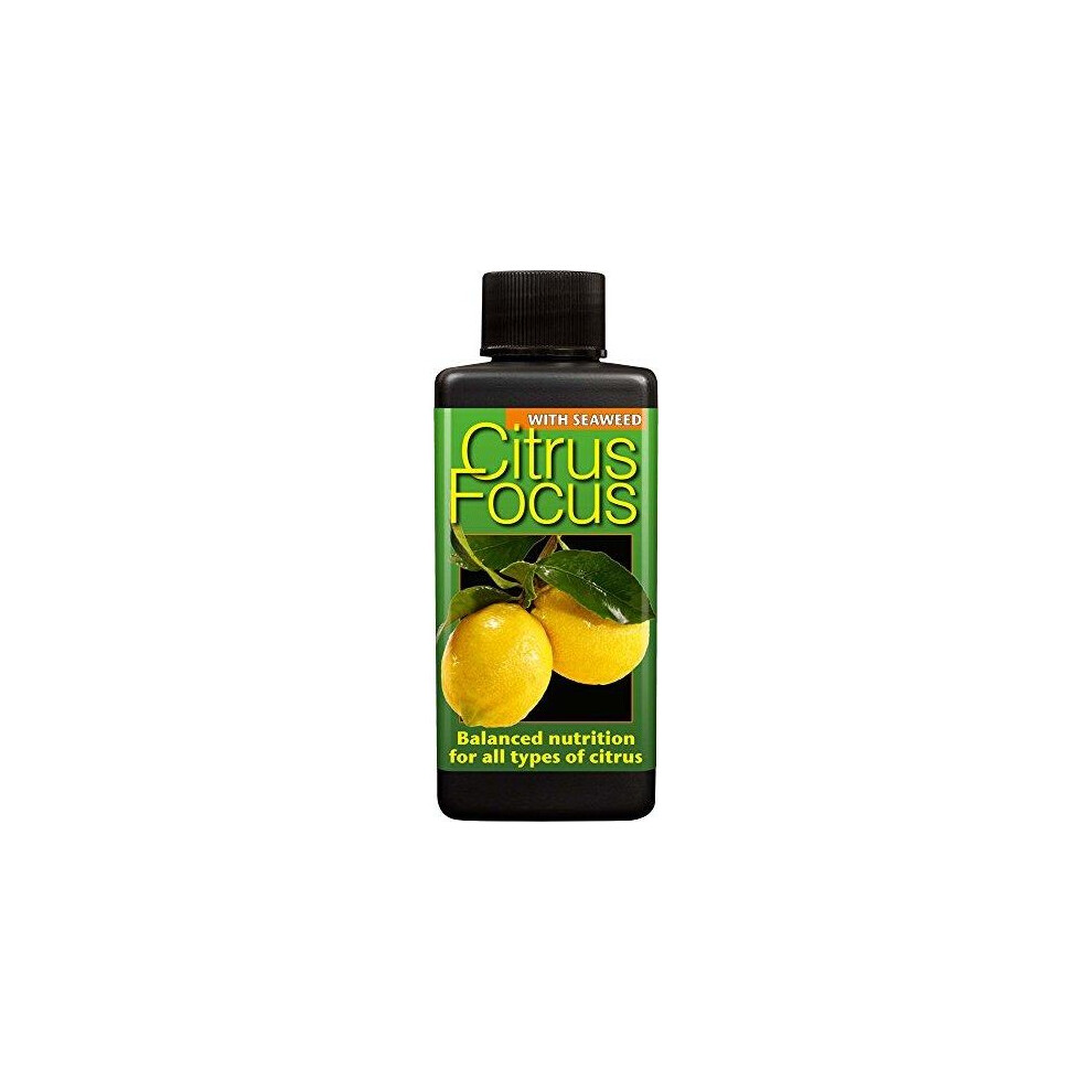 Citrus Focus - Image 3