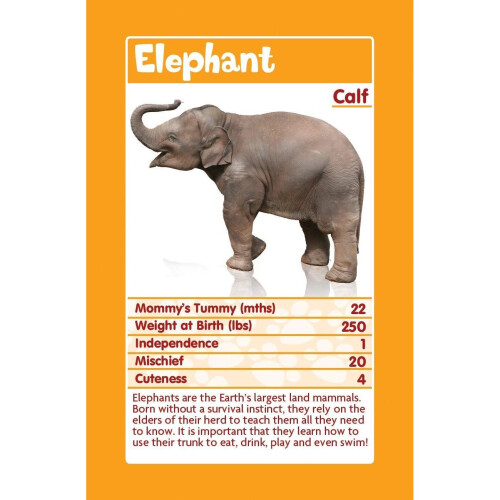 Top Trumps Top Trumps  Cards - Baby Animals (18) 2