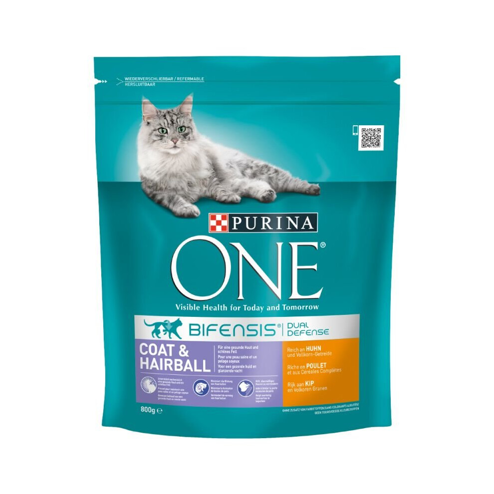 Purina ONE Coat & Hairball Chicken & Whole Grains Dry Cat Food 3kg