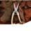 Plant Pruning Shears Garden Trimmer Scissors Cutting Clipper Tool 2
