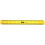 Helix Engineers 30cm Scale Ruler 1