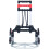 vidaXL foldbar trappevogn, 70 kg, aluminium, sølv 3
