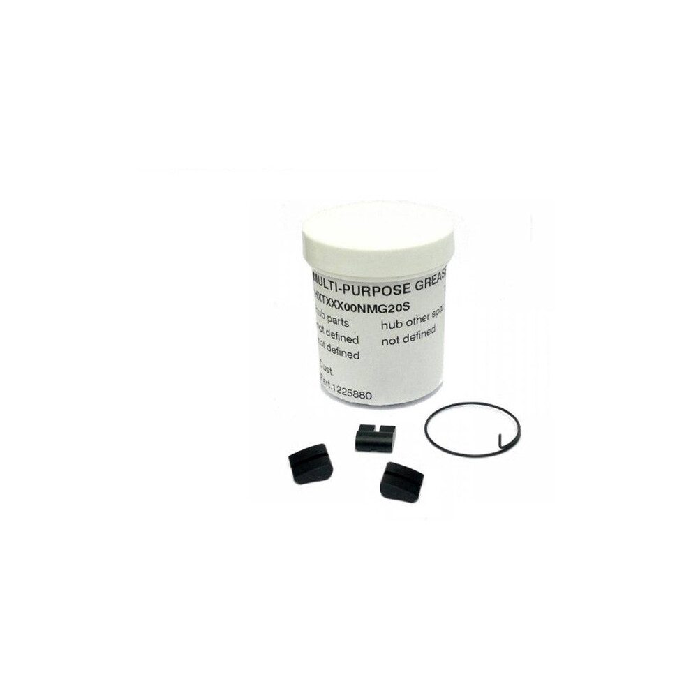 Dt Swiss 3-Pawl Service Kit Spring 3 Mm E Grasso-image