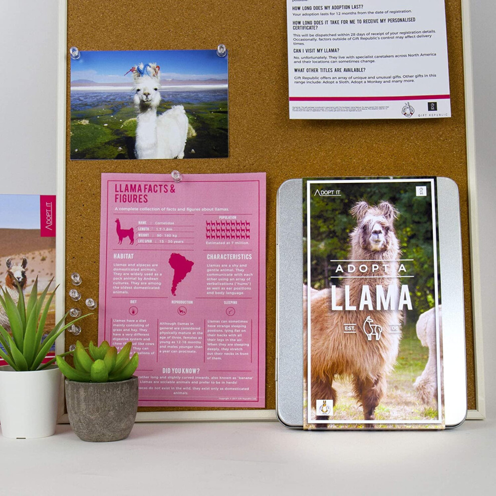Gift Republic Adopt A Llama Gift Box