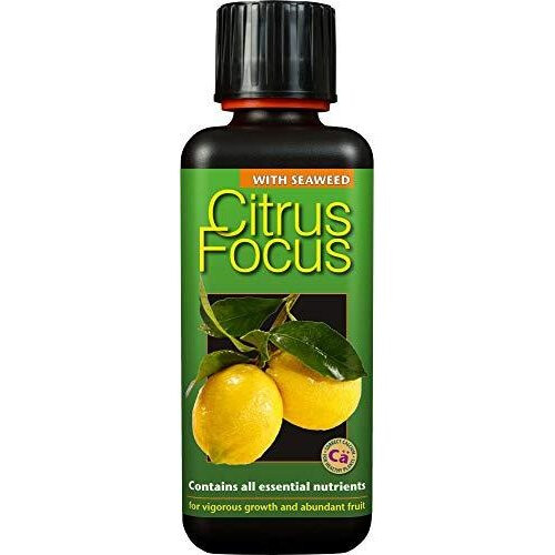Citrus Focus Liquid Concentrated Fertiliser 300 ml