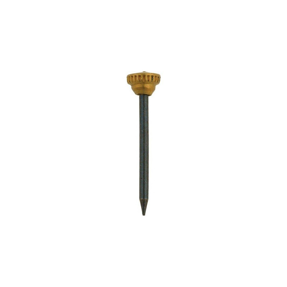 X Brass Headed Picture Pins 5059444314070