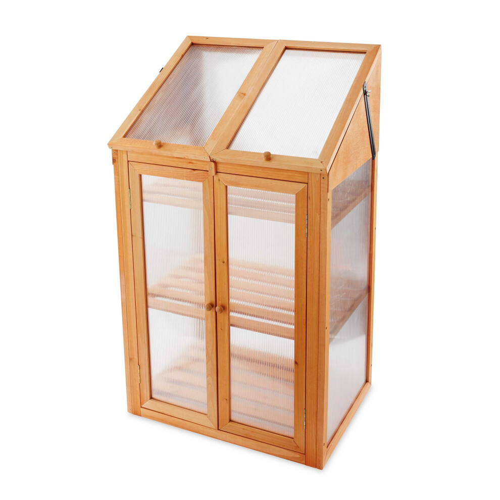 Wooden Mini Greenhouse With Polycarbonate Glazing