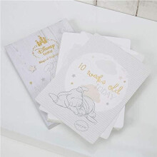 Disney Baby Dumbo 24 Milestone Cards for Keepsake Photos